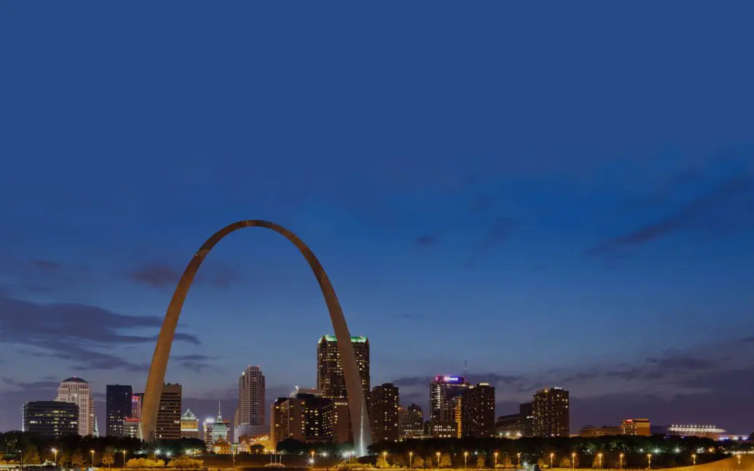 Why Choose a Family-Owned Pest Control Company Over a Major Chain