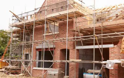 Why Termite Pre-Treatment is Essential for St. Louis Homeowners