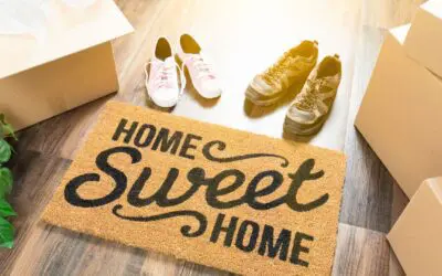 St. Louis Home Pest Infestation Signs