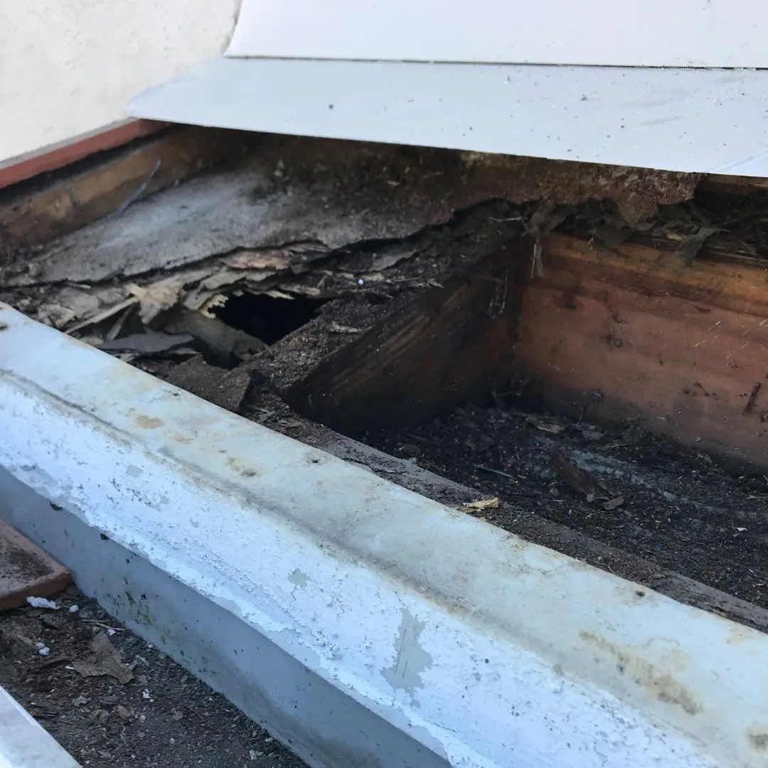 Visible termite damage to wood around a home window.