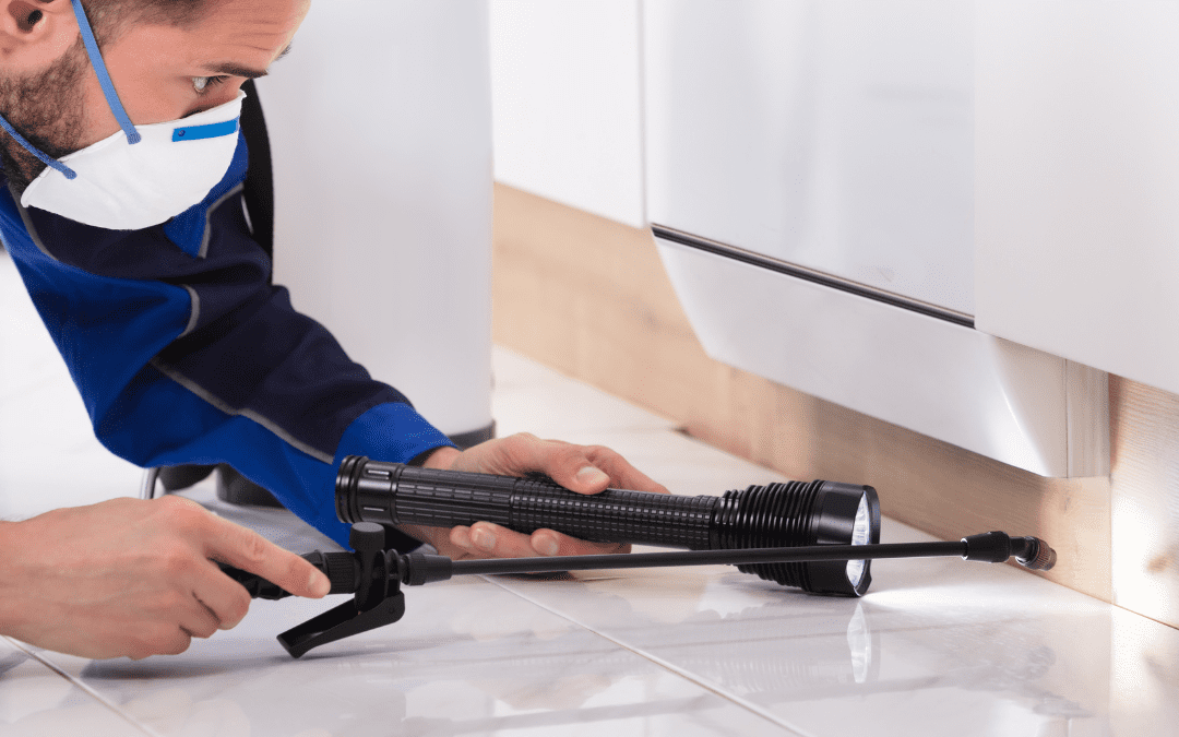 Pest control technician inspecting under kitchen cabinet with flashlight and spray tank.