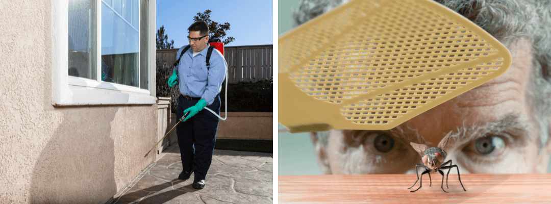 Why Hiring a Pest Control Company Beats DIY