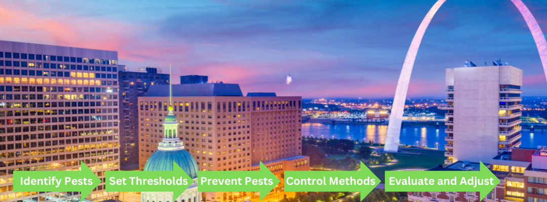 What is Integrated Pest Management (IPM)? A Comprehensive Guide