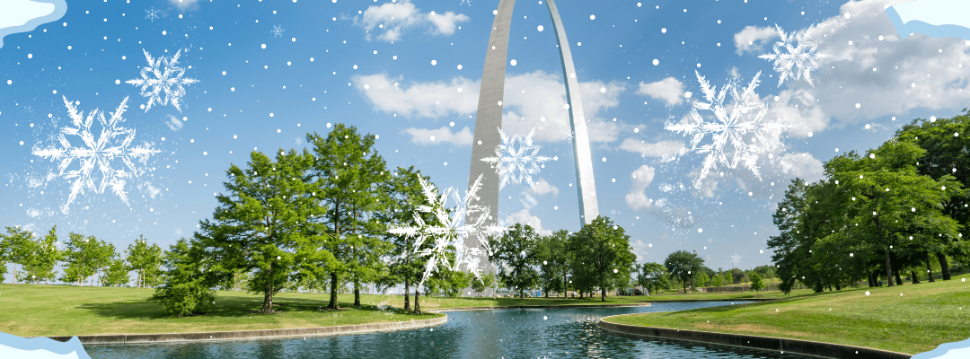 Winter Invaders: Common Pests That Seek Shelter Indoors