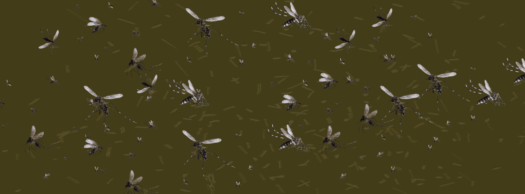 How to Mosquito-Proof Your Home: A St. Louis Guide