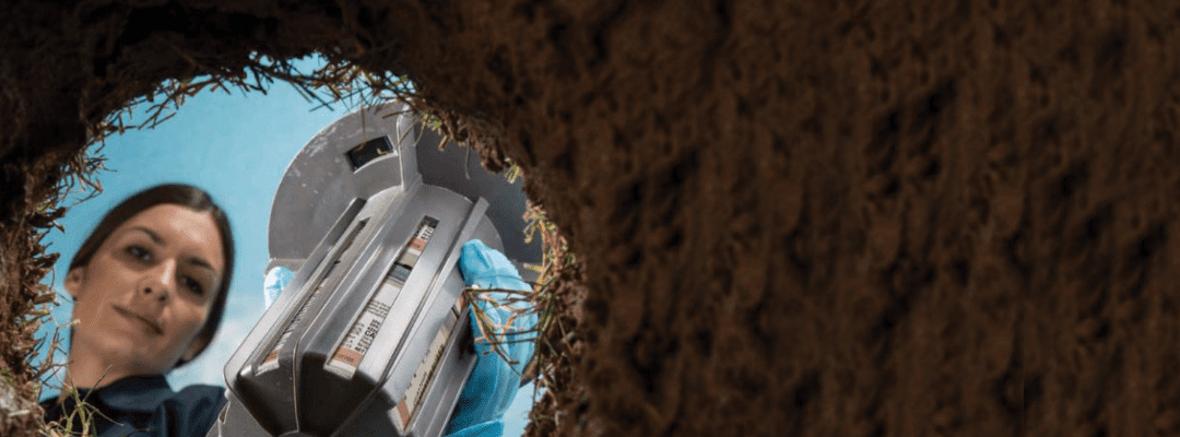 Protect Your St. Louis Home from Termites—Before It’s Too Late