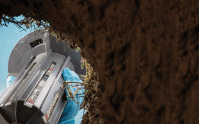 Protect Your St. Louis Home from Termites—Before It’s Too Late