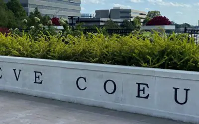 Cold Weather is Rodent Season in Creve Coeur