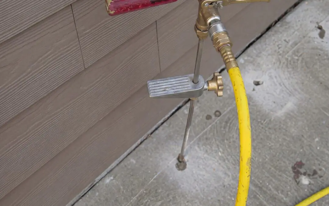 Bait or Barrier? Choosing the Right Termite Protection for Your St. Louis Home