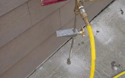 Bait or Barrier? Choosing the Right Termite Protection for Your St. Louis Home