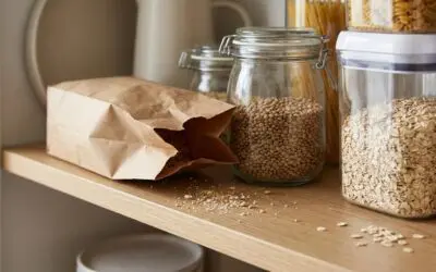 Finding Small Beetles in Your Pantry? It Could Be Merchant Grain Beetles