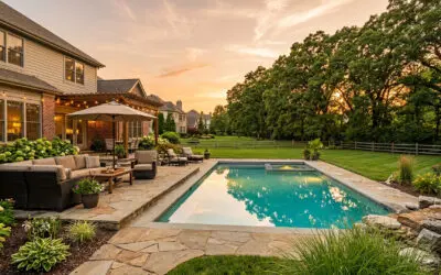 Mosquito Control for Chesterfield Backyards: Enjoy Summer Without the Bites