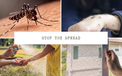 Guarding Your Health: STL Pest Control’s Expert Strategies Against Mosquitoes and West Nile Virus