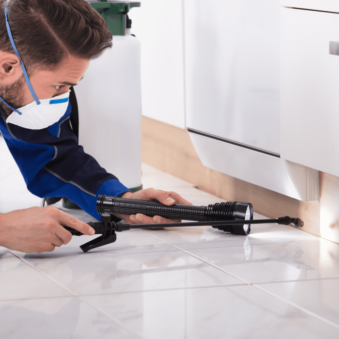 Pest control technician inspecting under kitchen cabinet with flashlight and spray tank.