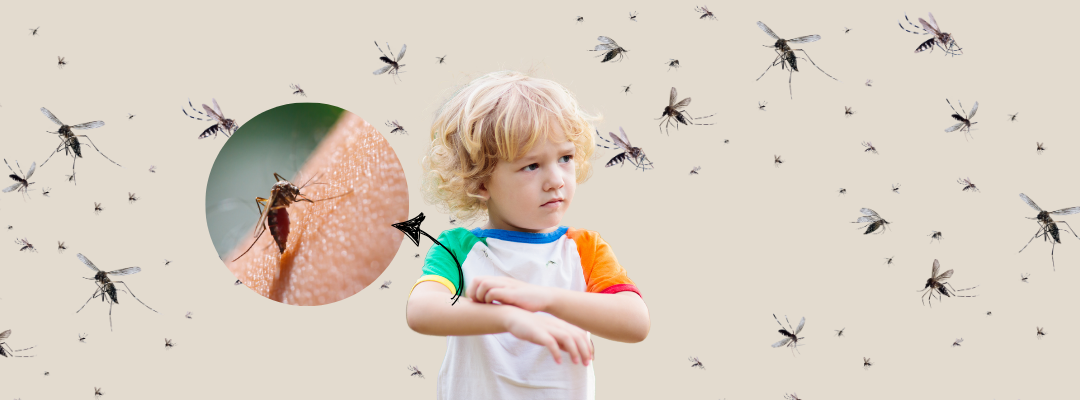 The Ultimate Mosquito Control Guide for St. Louis