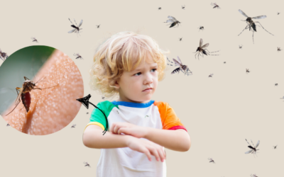 The Ultimate Mosquito Control Guide for St. Louis