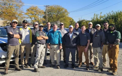 How to Choose the Best Pest Exterminator: Local Family-Operated vs. National Chains